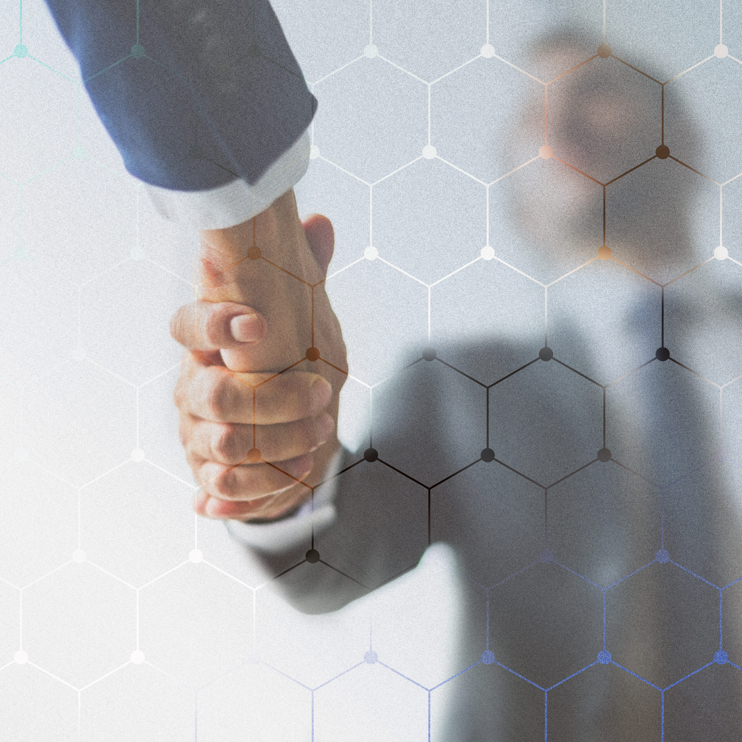 Custom Enterprise LMS for a Healthcare Organization in the USA