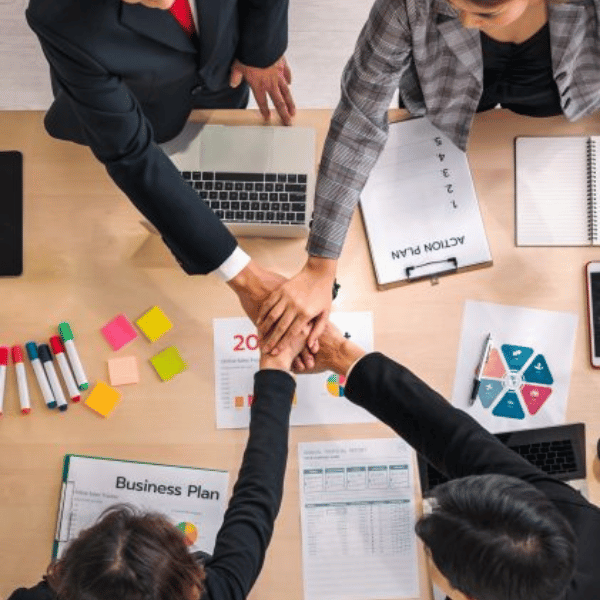 Learning Strategy Partnership